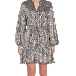 Alex Marie Shimmering Silver sequin dress 10‎
